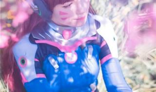 战斗贼的命中到底需要多少啊 战斗贼属性